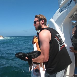 2.4M views · 36K reactions | This seal pup was released back in to wild with its mum only to turn around and swim right back to its rescuers  | UNILAD Adventure | Facebook