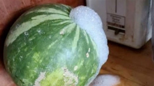 'It could explode:' Maine woman gets fizzy surprise from watermelon