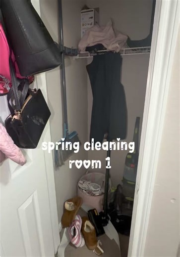 Spring Room Cleaning & Organization