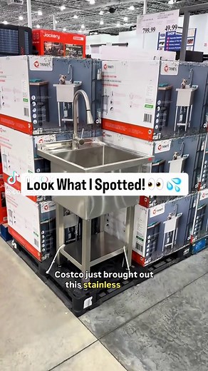Discover the New Utility Sink at Costco