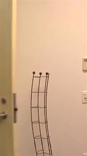 started from the pee can now we're here | Sam Reich