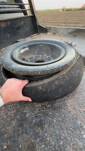 Let Me Put These Back!! | Will Meadows