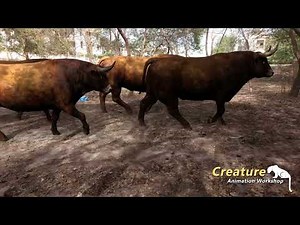 Bull Walk Animation WS00