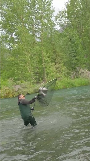 Russian River Ferry 2026 #fishing#alaska #adventure #fun