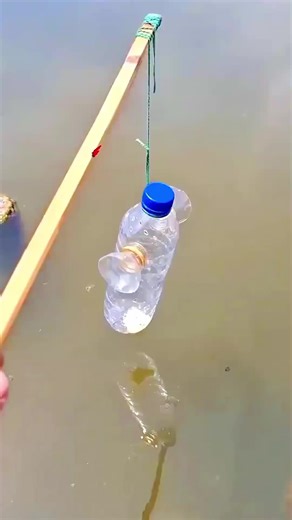 This is a fish decoy.#fyp | FishTok