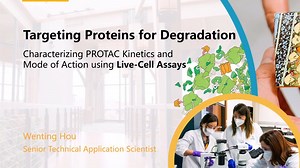 活细胞中进行PROTAC动力学检测和作用机制研究的方法