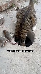 Namanya Simon.... Dia pemburu handal | Denis Colection