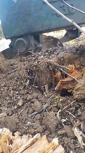 3.1K views · 20 reactions | Logger work . .​ .​#timberjack240 #forestry #logging #woodworking #wood #timber #lumber #solidtoothsaw #Top10 #fyp #sawmill #tattooartist #satire #forestry #logging #bigtrucks #satire | Jazlyn Smith | Facebook