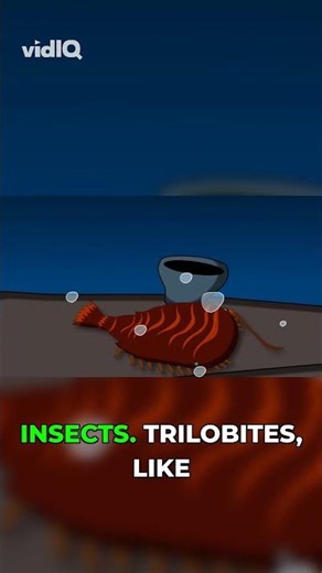 Why Giant Spiders Once Dominated Earth #arthropods #ancient #evolution