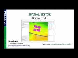 Petrosys PRO - Tips and Tricks in the Spatial Editor
