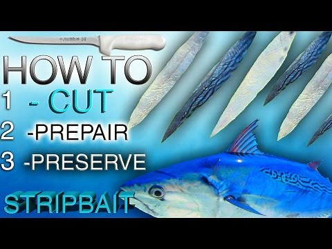 Preparing Bonito STRIPS for Fishing, trolling, rigging Kingfish, mahi, bait