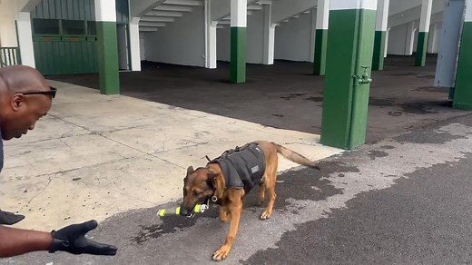 Butler County Sheriff's... - Butler County Sheriff's Office