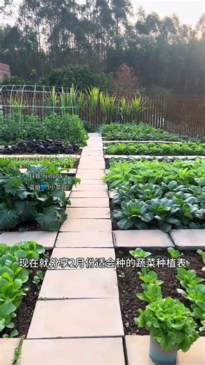 Spring Planting Guide: Sow Your Green Thumb