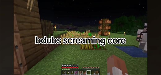 Exploring Bdubs' Emotional Moments in Minecraft Series