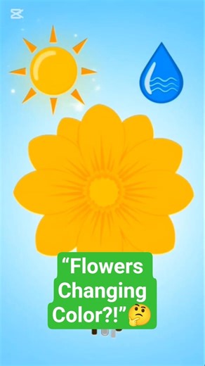 “Why Do Flowers Change Color? 🌸 Amazing Plant Science!” #garden #floralseries #floralsymmetry #plant