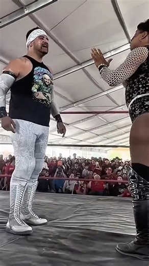 SIEMPRE ME MALINTERPRETAN 🙄🤭 #luchalibre #simbolo #humor #shortvideo