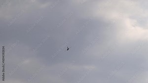 One of the first successful jet fighters with a swept wing, in its time it belonged to the top