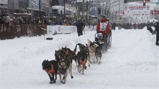 In Alaska: Größtes Schlittenhunderennen der Welt offiziell gestartet - Esslinger Zeitung