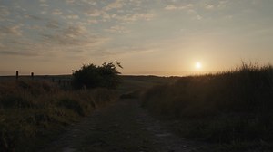 Dog training videos - Ian Cooper Dog Behaviourist