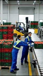 Inside A Mega Tomato Factory 🍅 From Farm to Ketchup! Amazing Tomato Harvesting & Processing