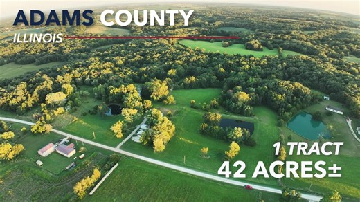 Upcoming Adams County, Illinois Land Auction for John P. Henninger. Selling 42 taxable acres± in 1 tract on September 30, 2025. The Henninger farm is conveniently located a short distance north of Liberty, Illinois, and east of Quincy, Illinois. The farm represents a perfect mixture of timber and fields which is ideal habitat for whitetail deer and other wildlife. Approximately 17 acres are currently in hay production. 3 ponds are stocked with largemouth bass, bluegill, and catfish. This propert