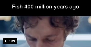 Evolution of a fish - Video