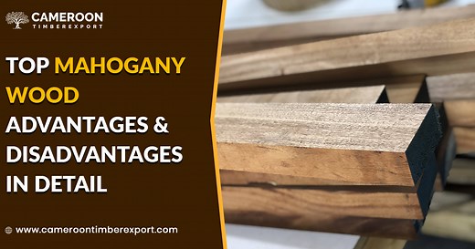 Top Mahogany Wood Advantages and Disadvantages in Detail