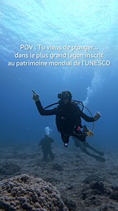 Sous la surface, un monde à part t’accueille 💙 Le plus grand lagon inscrit au patrimoine mondial de l’UNESCO te révèle ses trésors : coraux colorés, poissons tropicaux, tortues majestueuses… 🐢✨ Ici, chaque bulle raconte la beauté d’une nature préservée, chaque plongée une nouvelle aventure. Prêt(e) à vivre cette expérience unique ? 🤿 🎥 @wanderwithrox | Nouvelle-Calédonie