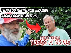 Best Mango Varieties & How to Trim Them