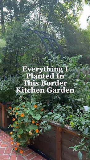 Come take a little walk with me around the raised beds 🌿 Every plant’s labeled, every bed has a purpose, and everything’s growing right where it should. From leafy greens to herbs tucked between the kale, I’ll show you what’s planted where and how it all comes together to make the garden feel alive and organized. If you’re looking at your own space wondering where to start or what fits where, I’ve got you. Comment PLANS and I’ll send you my free planting plans to make your layout easy-peasy (an
