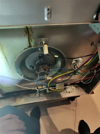 fisher and paykel double oven fan vibration before cover get installed back #appliancerepair