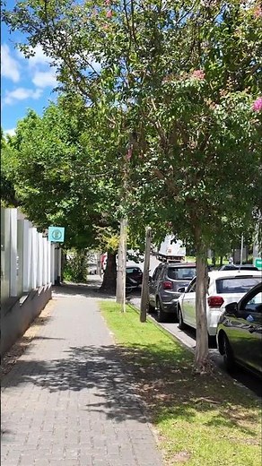 Bom Retiro um bairro com ruas arborizadas de uma das cidades mais organizadas do país.
