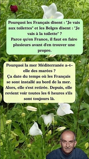 Toilettes à la française vs à la belge 🚽🇫🇷🇧🇪 #blagues #drôle #rire