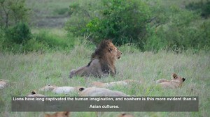 10 Lion Symbols in Asian Cultures: Meanings and Significance