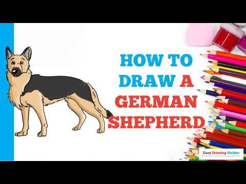 How to Draw a German Shepherd in a Few Easy Steps: Drawing Tutorial for Beginner Artists