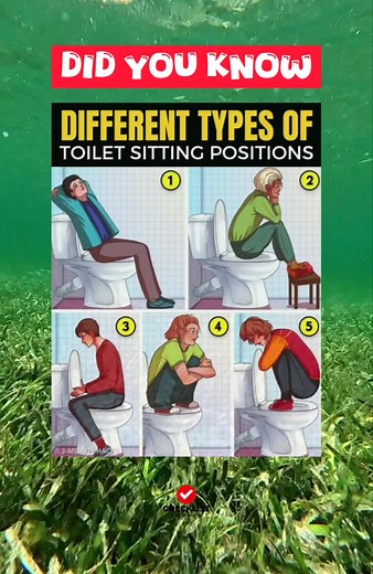 6.2K views | Different types of Toilet sitting positions... | Checklist Studio | Facebook