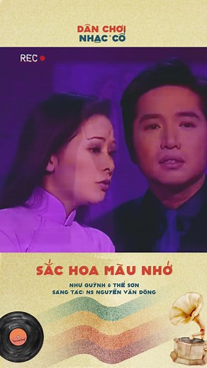 Thế Sơn & Như Quỳnh - Cặp Song Ca Hát Sắc Hoa Màu Nhớ Hay Nhất