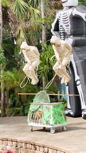 If you asked me where anyone could have seen mummies jumping rope on a precarious balancing board, I would tell you @brevardzoo . . 🎥@photosbylinz . #jumprope #ropeskipping #mummy #peopleareawesome #circus | WeFlip Entertainment