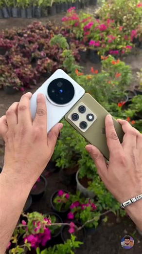 Vivo X200 Pro vs Motorola Signature 10x Zoom Test