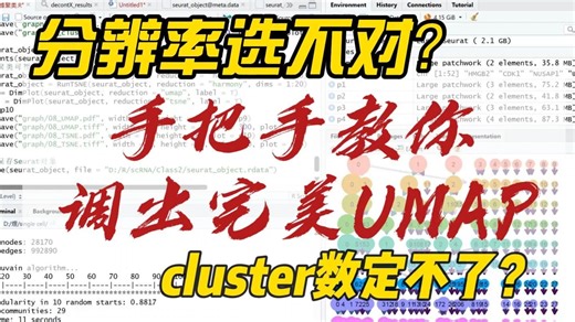 分辨率选不对？cluster数定不了？小玉手把手教你调出完美UMAP
