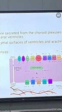 CSF Formation#physiology #mbbs #cerebrospinalfluid