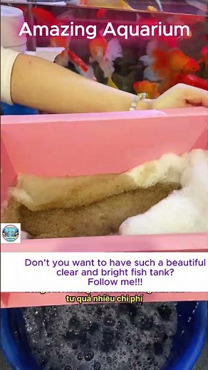 Do I need to clean the gravel in my aquarium?