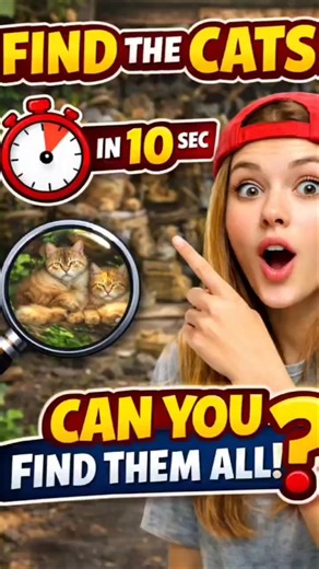 Find the Hidden Cats in 10 Seconds! 🐱 Only 1% Can Find Them All
