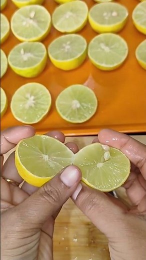 నిమ్మకాయ పొడి సంవత్సరం పాటు ఎలా నిల్వ!| Lemon Powder in Minutes!🍋| నిమ్మపొడి