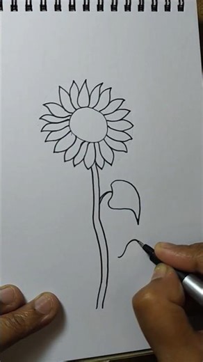 Easy Sunflower Drawing 🌻 | Simple Step by Step Tutorial for Beginners