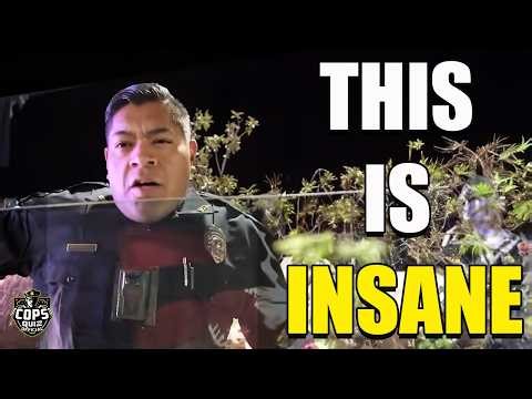 When Corrupt Cops Get HUMBLED By Citizens..