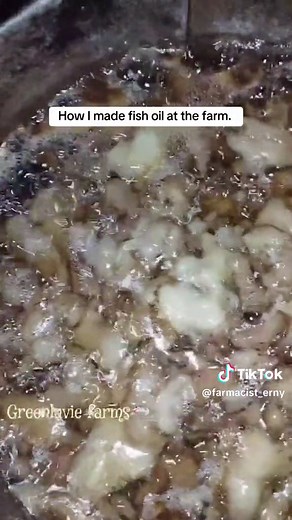 Easy Homemade Fish Oil Extraction: Step-by-Step Process | DIY Farming