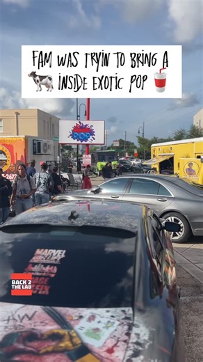 1.7K views · 37 reactions | Fam tried to bring a whole(y) cow inside @exoticpop. Man I love my city 落藍! | Back 2 The Lab | Facebook