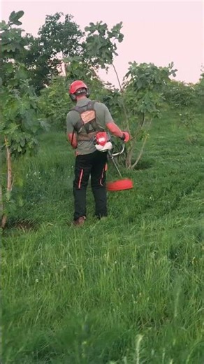 Husqvarana 321R Brushcutter