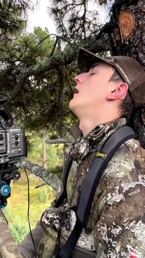 353K views · 1.9K reactions | Busted! At least he was wearing his harness..•- @ralphandvicki #huntersafetysystem #treestandsafety #hunt #hunting #deer #deerhunting #outdoors #archery #bowhunting #reels #huntingvideo #reelit #funny #comedy | Hunter Safety System | Facebook